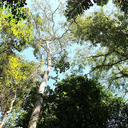 Misahualli Amazon Lodge Тена Экстерьер фото