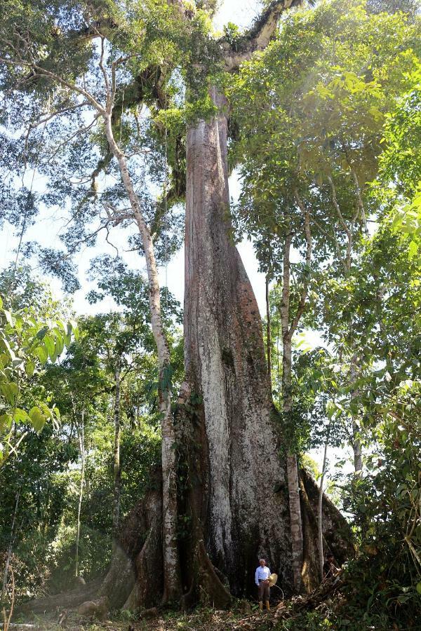 Misahualli Amazon Lodge Тена Экстерьер фото