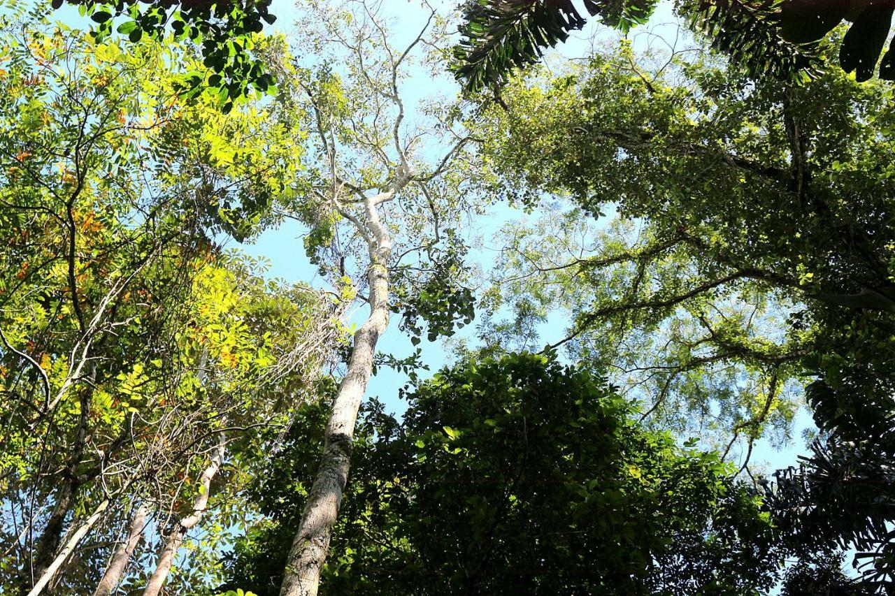 Misahualli Amazon Lodge Тена Экстерьер фото